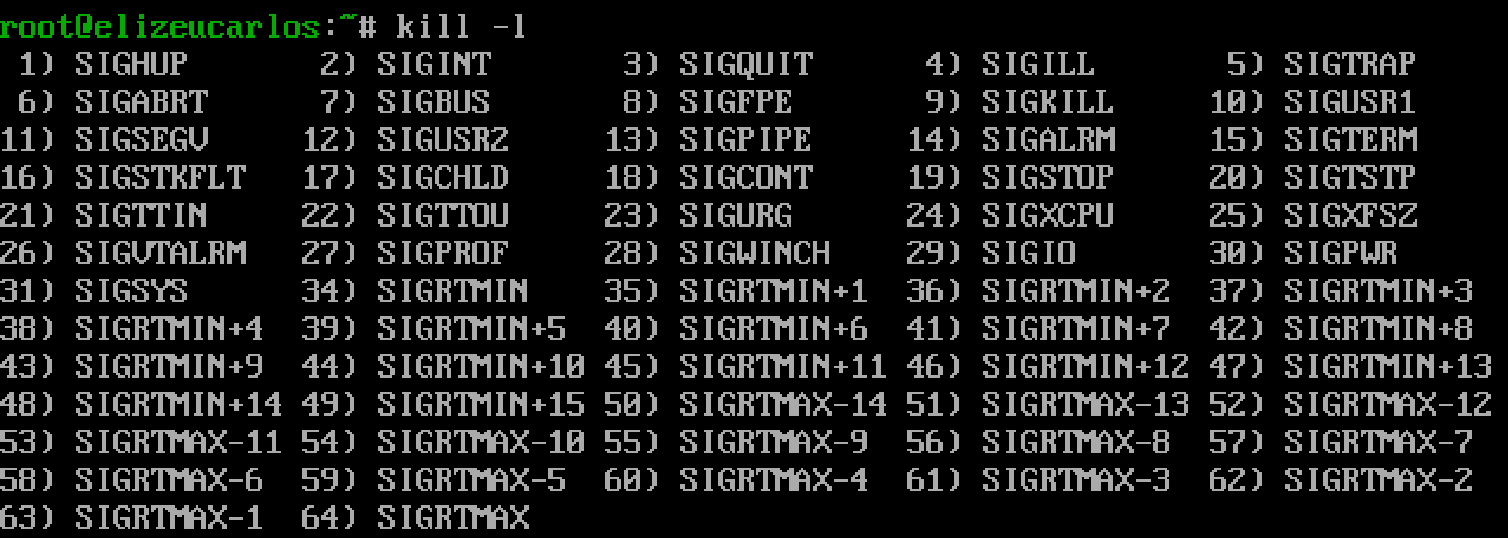 SIGTERM vs SIGKILL - Explained with Python